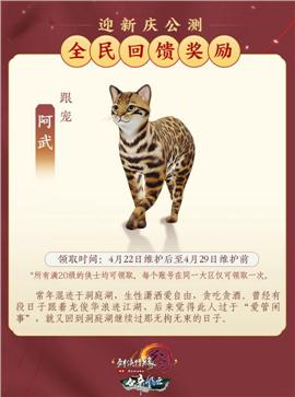 天龙八部私服 书籍数据